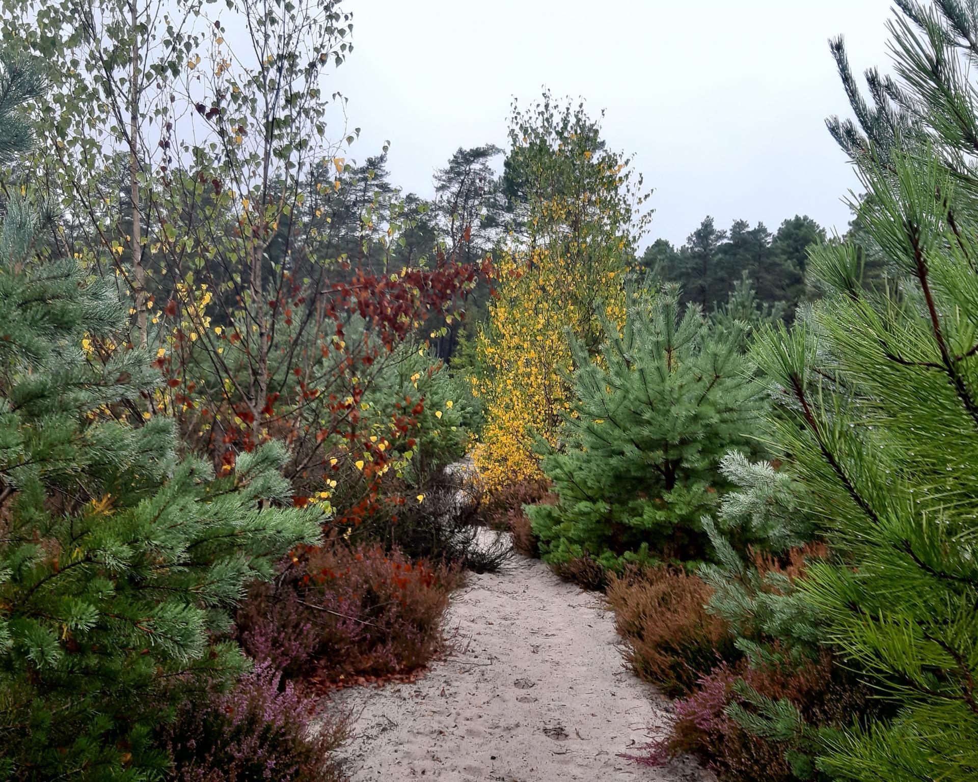 Automne 2022 3