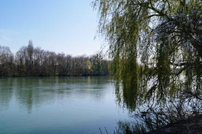 La seine a samois 1